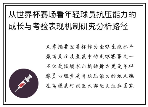 从世界杯赛场看年轻球员抗压能力的成长与考验表现机制研究分析路径